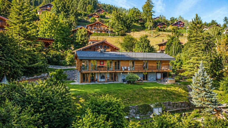 Rareté à Gryon - chalet rénové, vue Dents du Midi et grand jardin (1)