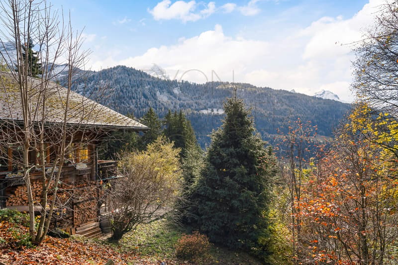 Chalet Rose: Tranquility and Nature in La Barboleuse (3)