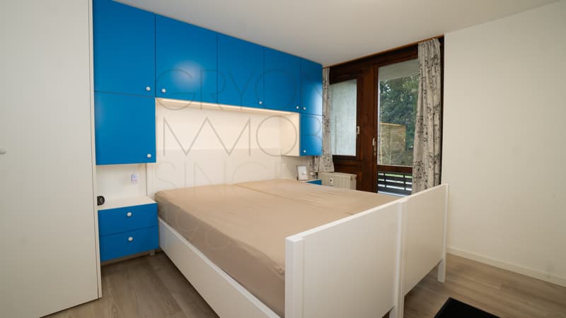 Alpe des Chaux: 2 pezzi rinnovati, 200 m piste, posto auto coperto (7)