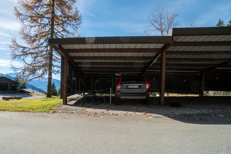 Alpe des Chaux: 2 pezzi rinnovati, 200 m piste, posto auto coperto (13)
