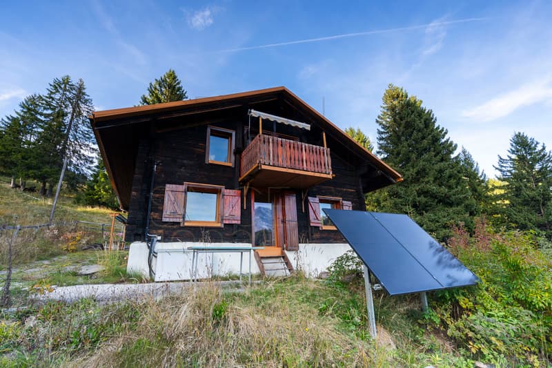 Autonomous Chalet with Panoramic View - 5 Bedrooms in Villars-Ollon (5)