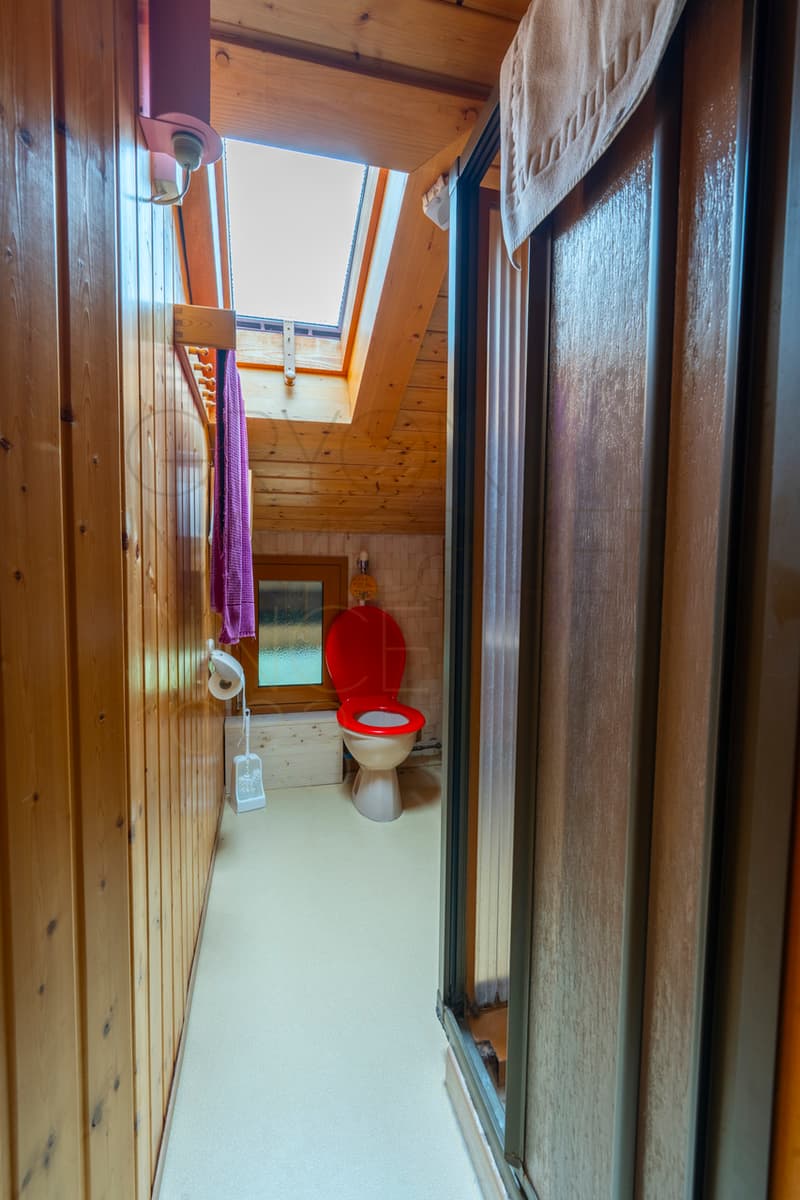 Autonomous Chalet with Panoramic View - 5 Bedrooms in Villars-Ollon (3)
