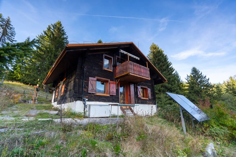 Autonomous Chalet with Panoramic View - 5 Bedrooms in Villars-Ollon (6)