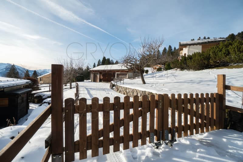 Typical family chalet in Gryon with garden and outbuildings (3)