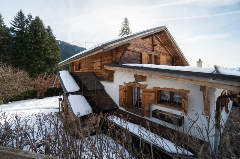Typical family chalet in Gryon with garden and outbuildings (2)