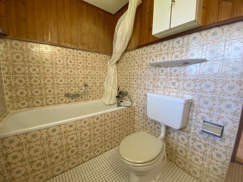 Zu vermieten im Jahr in Les Posses sur Bex schönes 2-Zimmer-Apartment (9)