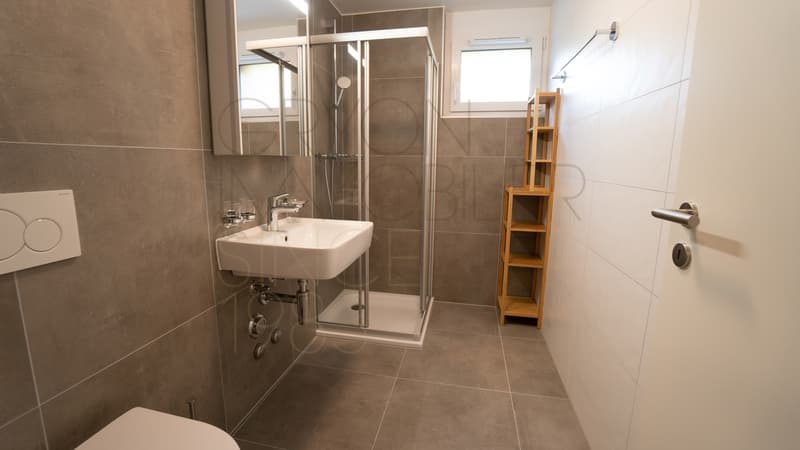 Neue möblierte 2-Zimmer-Wohnung mit überdachtem Parkplatz (9)
