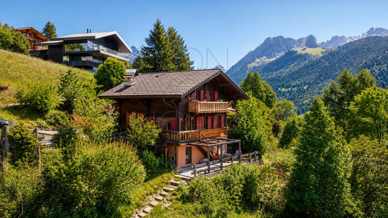 Chalet à Gryon avec studio indépendant, vue sur les montagnes. (2)