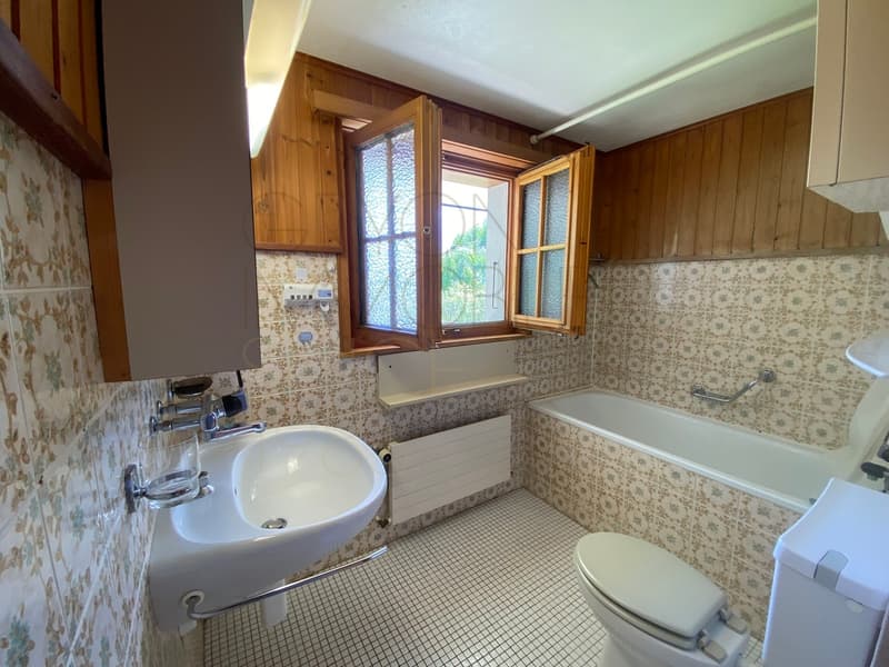 For rent for a year in Les Posses sur Bex, nice 2-room apartment on the ground floor (8)