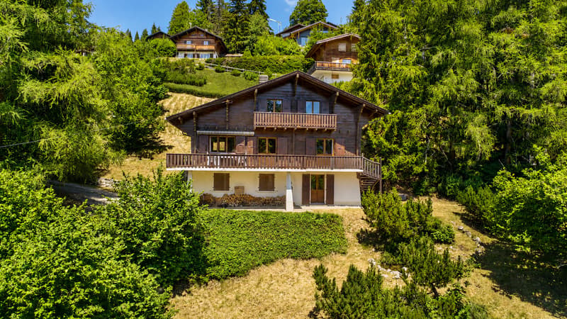 Chalet familial de 6,5 pièces à Gryon, proche des commodités (1)