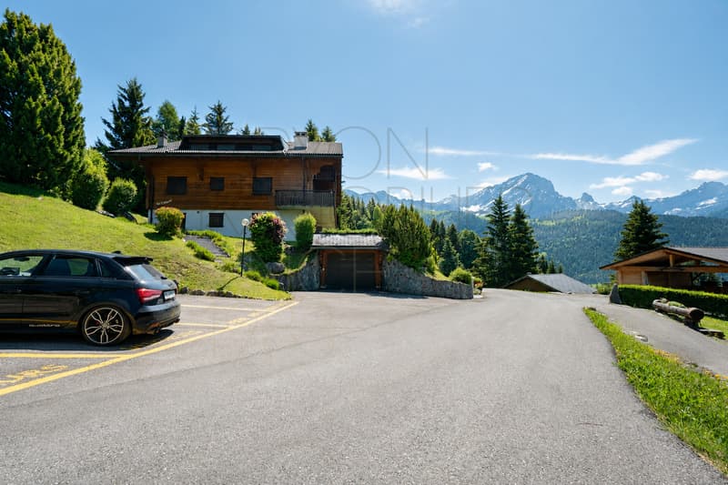 Appartement 3,5 pièces à Gryon avec terrasse de 47 m² (1)