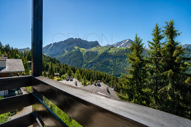 Appartement 2,5 pièces aux Arsets avec balcon et soupente (8)