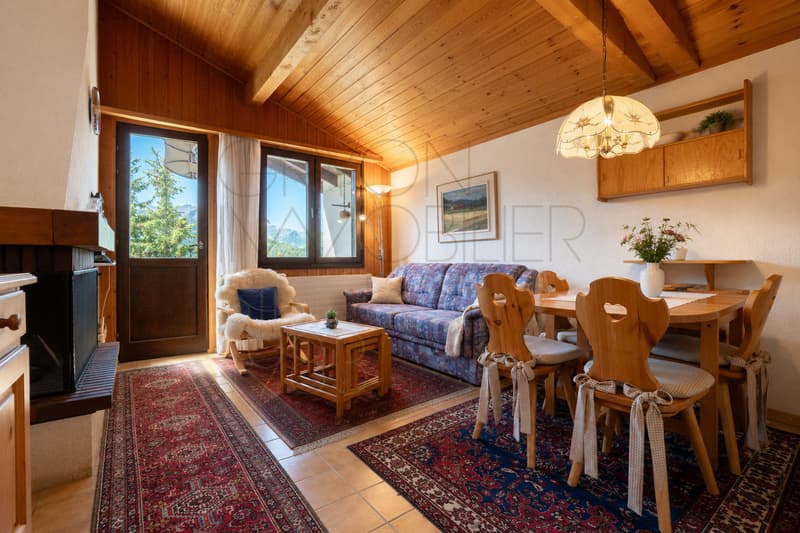 Appartement 2,5 pièces aux Arsets avec balcon et soupente (1)