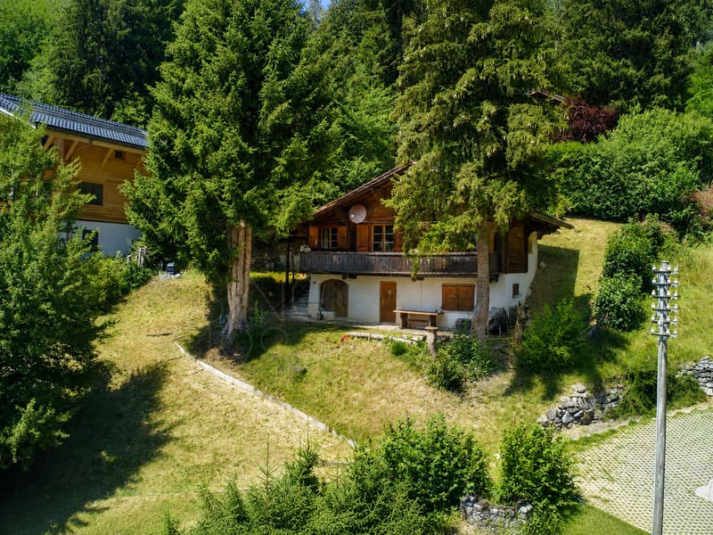 Chalet de 4,5 pièces à rénover à Gryon, vue et calme (1)