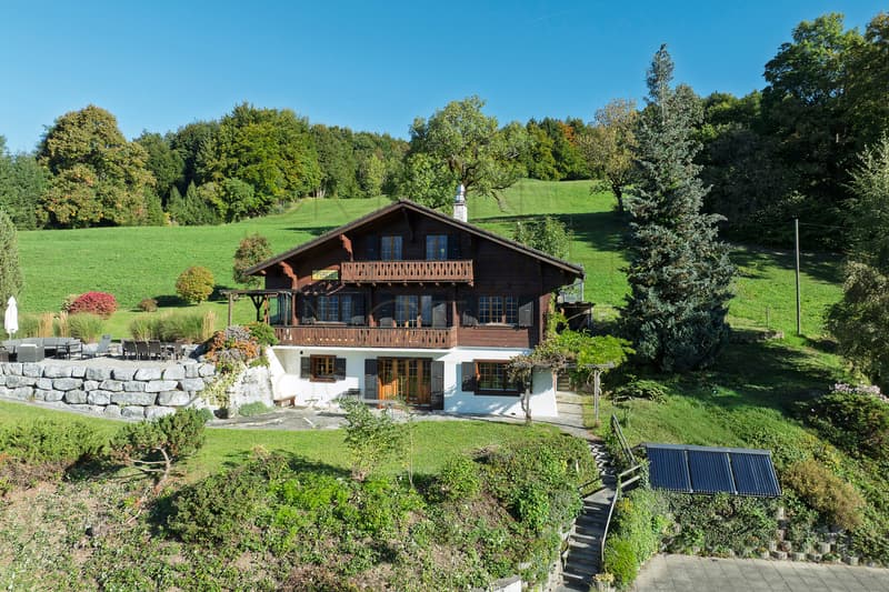Les Posses-sur-Bex - Chalet 6 chambres, panorama sur les Dents-du-Midi (4)