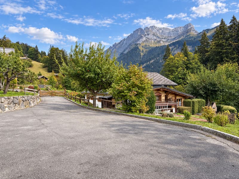 Chalet familial typique à Gryon avec jardin et dépendances (12)