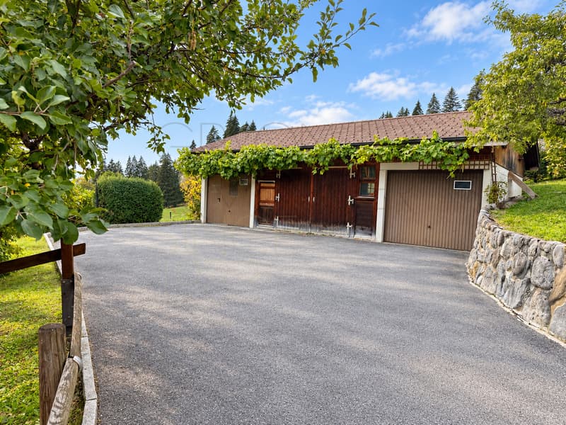 Chalet familial typique à Gryon avec jardin et dépendances (11)