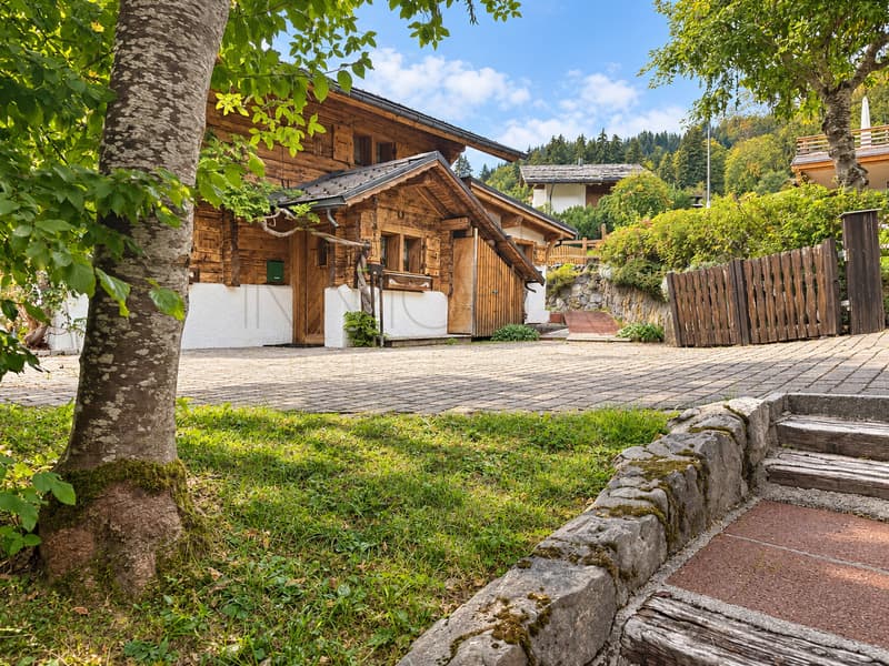 Chalet familial typique à Gryon avec jardin et dépendances (9)