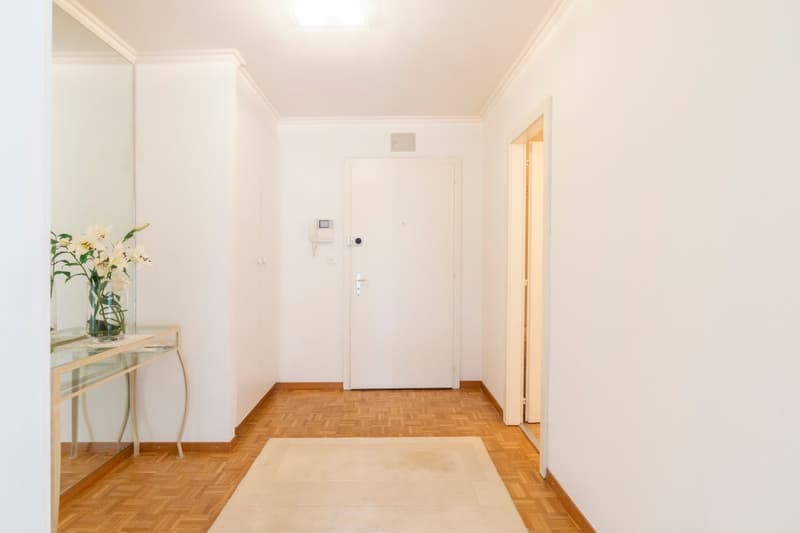 Beautiful 2.5-room apartment with balcony (7)