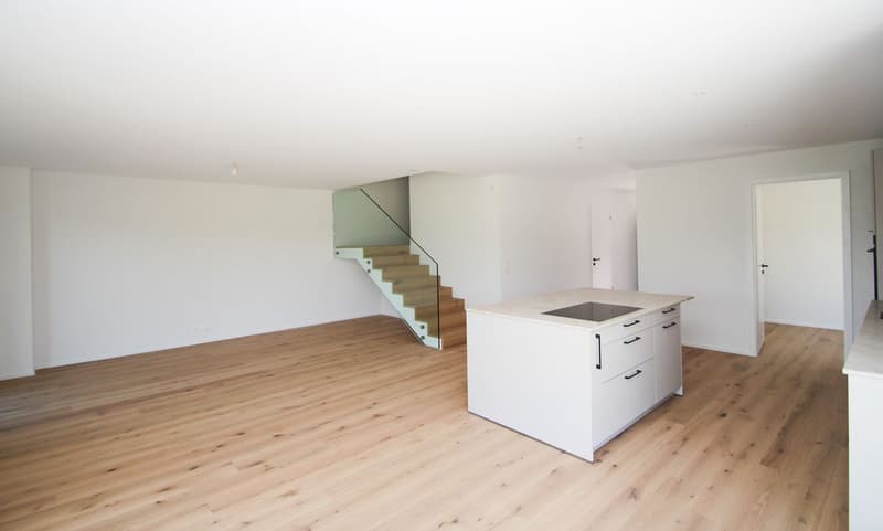 Dernières finitions à choix - Splendide villa à Cronay (6)