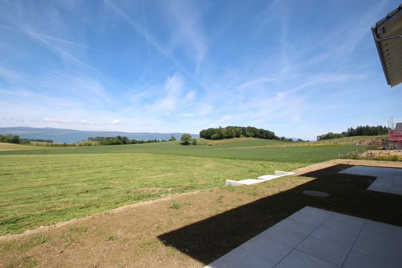 Dernières finitions à choix - Splendide villa à Cronay (5)