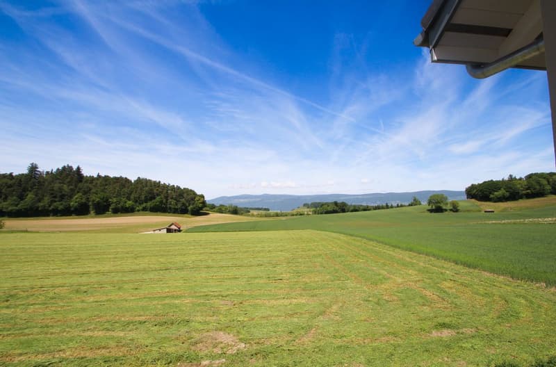 Dernières finitions à choix - Splendide villa à Cronay (1)