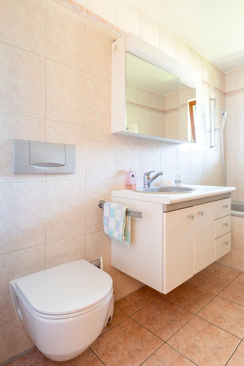 Apartment with 2.5 rooms between lake and mountain (6)