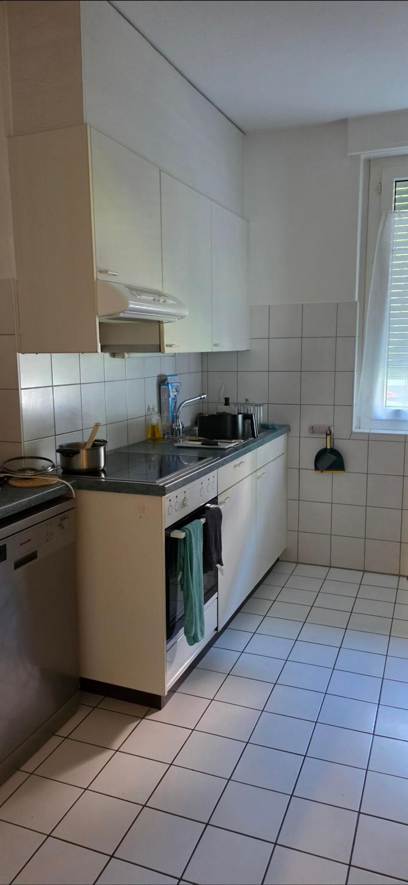 2.5 room apartment on the ground floor (1)