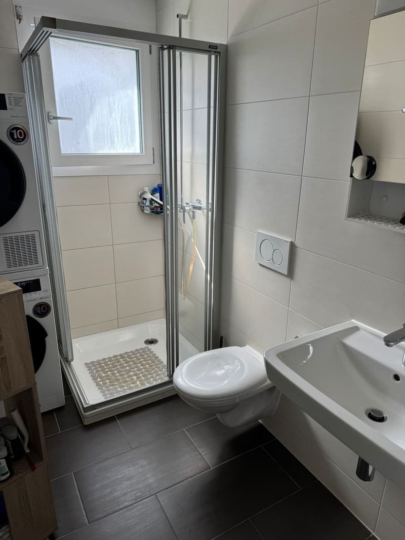 Très bel appartement de 3.5 pièces - grand balcon - dans un petit immeuble (8)