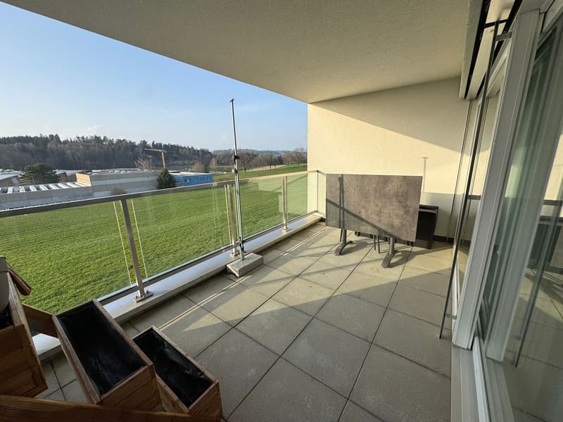 Très bel appartement de 3.5 pièces - grand balcon - dans un petit immeuble (9)