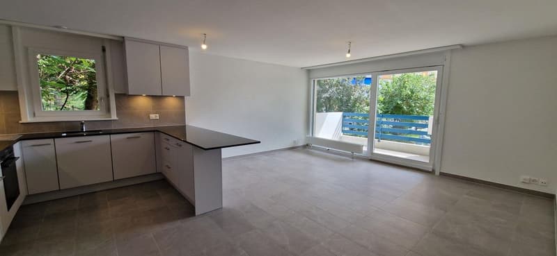 Magnifique appartement de 3,5 pièces entièrement rénové à Clarens (2)