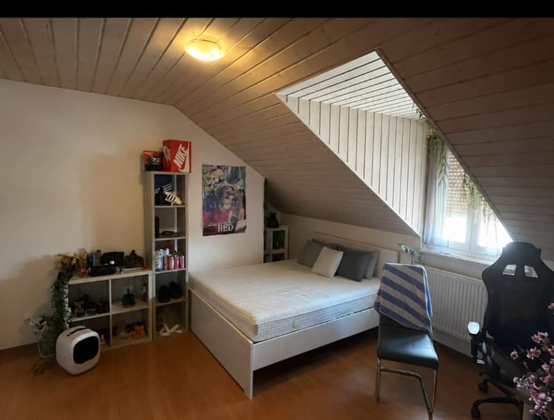 Magnificent 7-room duplex apartment in the heart of Echallens (6)