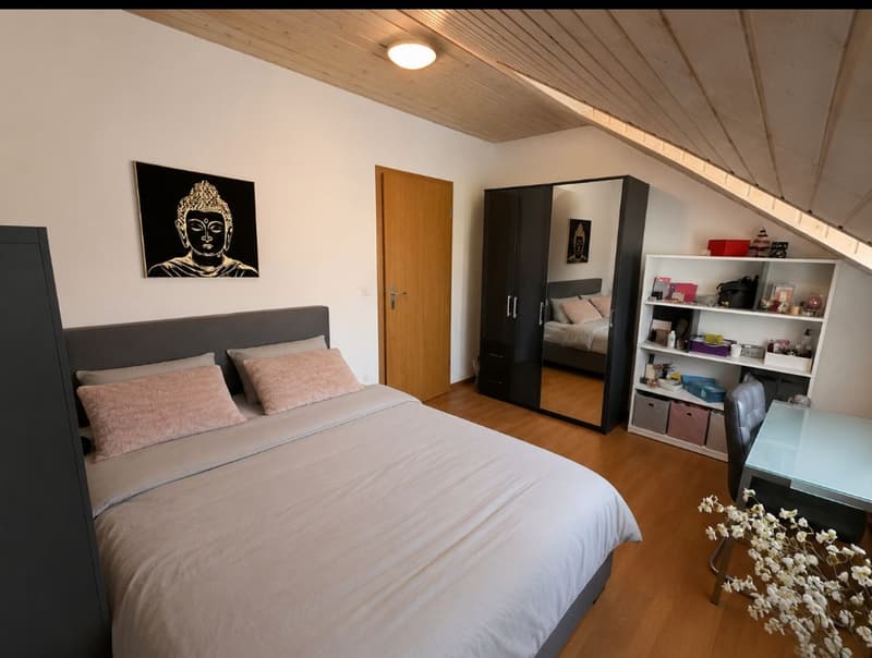 Magnificent 7-room duplex apartment in the heart of Echallens (5)
