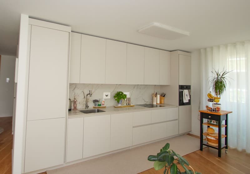 Ecoquartier à Echallens - Résidence Osiris - Magnifique 4.5 pièces très lumineux (5)