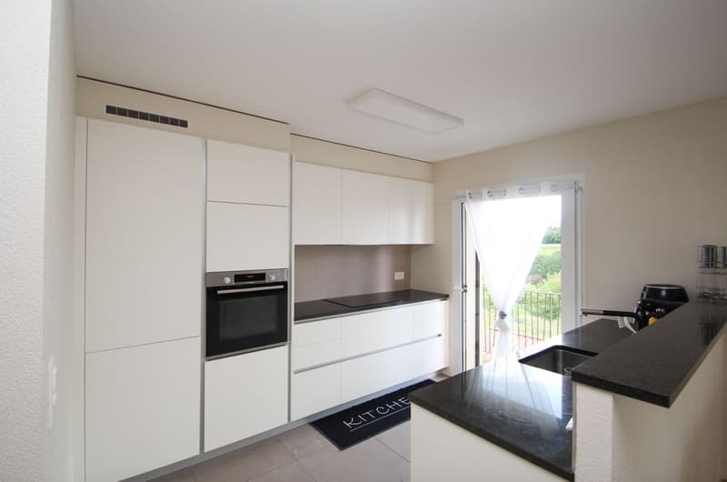 Très beau 3.5 Pièces avec grand balcon et magnifique vue campagne (5)