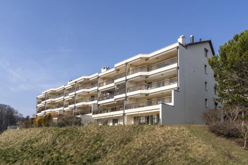 Beautiful 3.5-room apartment with terrace and garden in Chexbres (10)