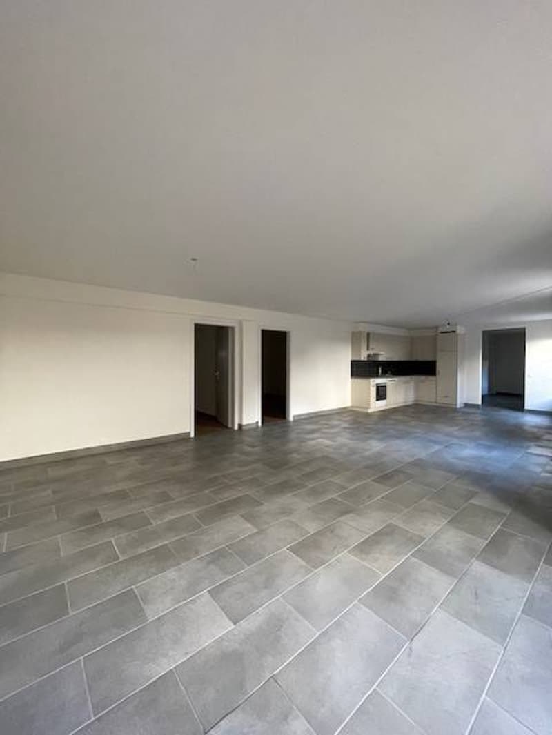 Centro città, a due passi da tutte le comodità, grande appartamento di 3,5 locali al 2° piano (4)