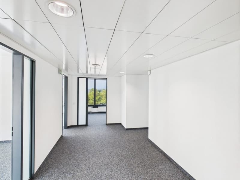 Magnifico ufficio di 249 m2 situato in un edificio con posizione strategica (11)