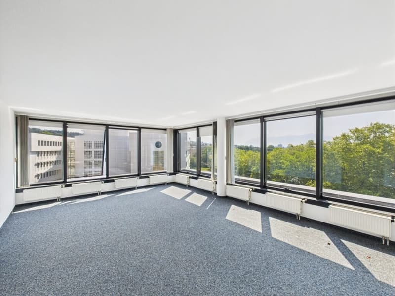 Magnificent 249 m2 office located in a building with a strategic location (1)