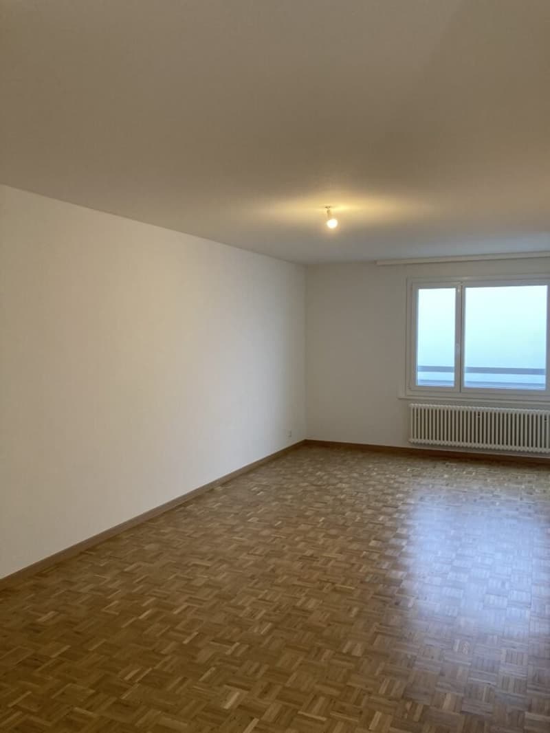 2.5-room apartment on the 8th floor with balcony in Lausanne (5)