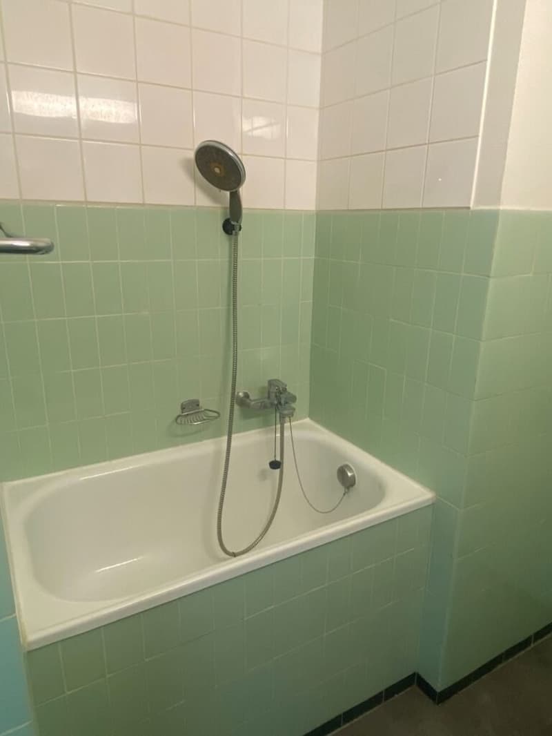 One-room apartment on the 5th floor in Lausanne (3)