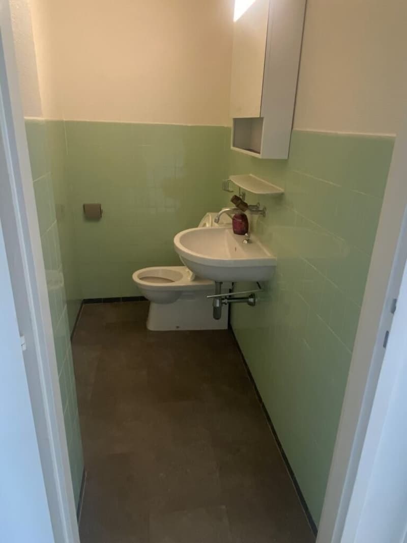 One-room apartment on the 5th floor in Lausanne (4)