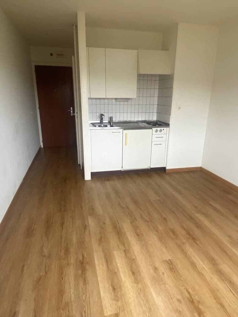 One-room apartment on the 5th floor in Lausanne (2)