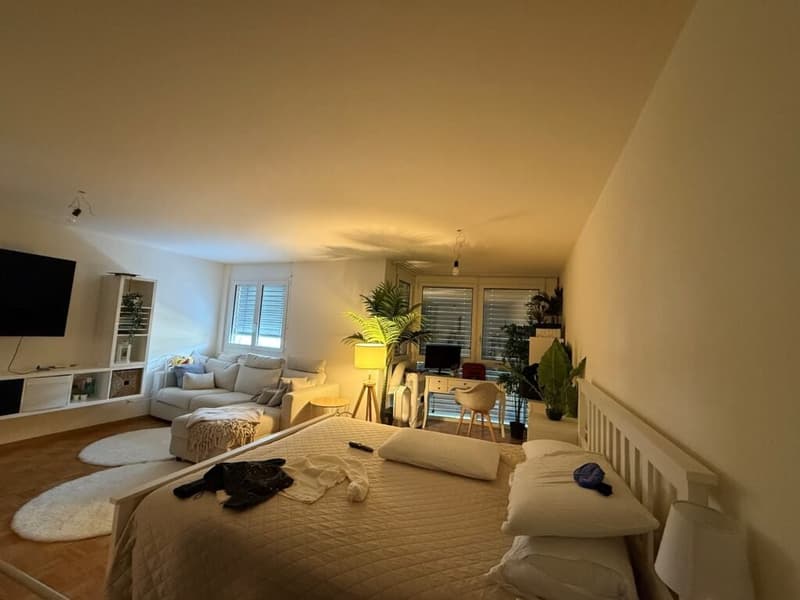 Appartement de 1.5 pièces au 3ème étage à Vevey (1)