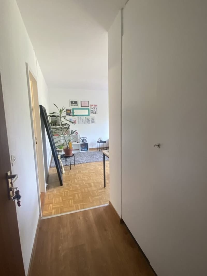 Appartement de 1 pièce au 3ème étage à Ecublens (2)