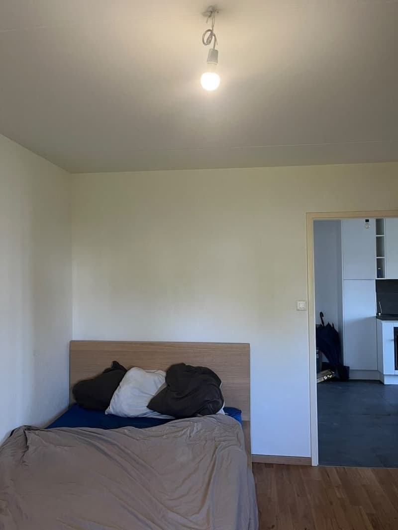 2.5-room apartment on the 3rd floor with balcony in Renens (3)