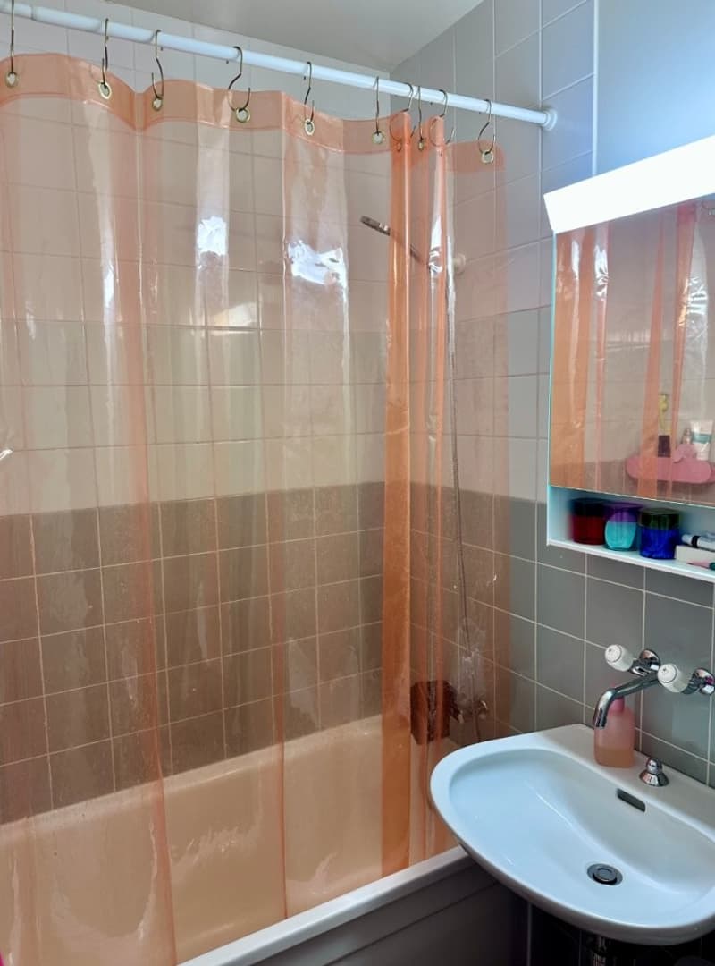 Appartement de 1 pièce au 5ème étage à Nyon (3)