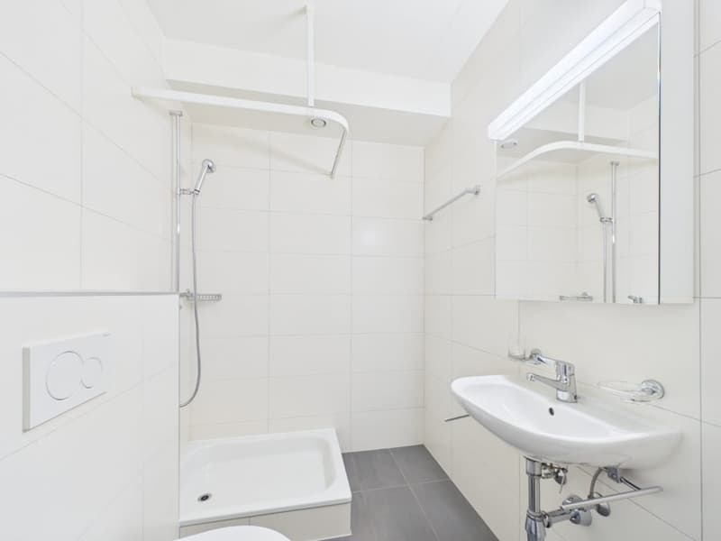 Appartement de 1 pièce au rez-de-chaussée à Renens (5)