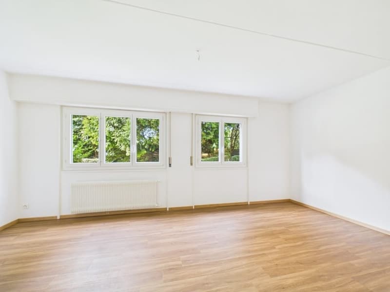 Appartement de 1 pièce au rez-de-chaussée à Renens (3)