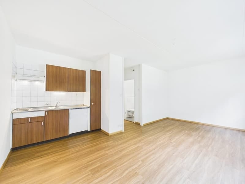 Appartement de 1 pièce au rez-de-chaussée à Renens (1)